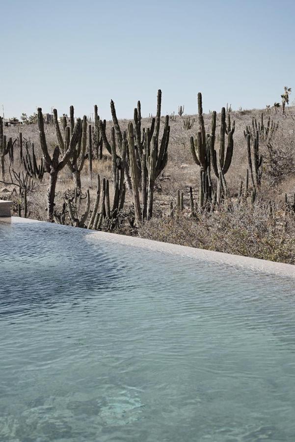 فندق Desierto Azul تودوس سانتوس المظهر الخارجي الصورة